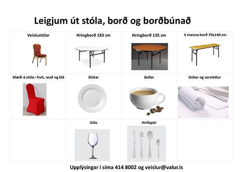 utleiga.jpg